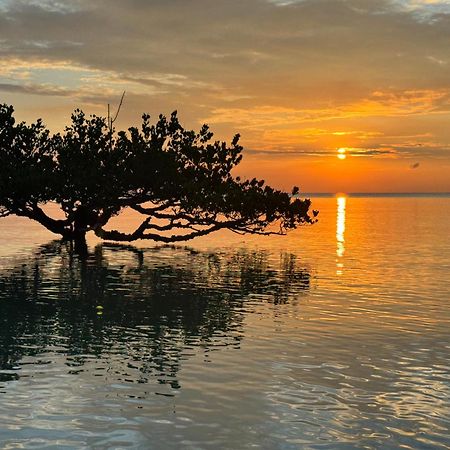 Mangrove Lodge Zanzibar Ngoại thất bức ảnh