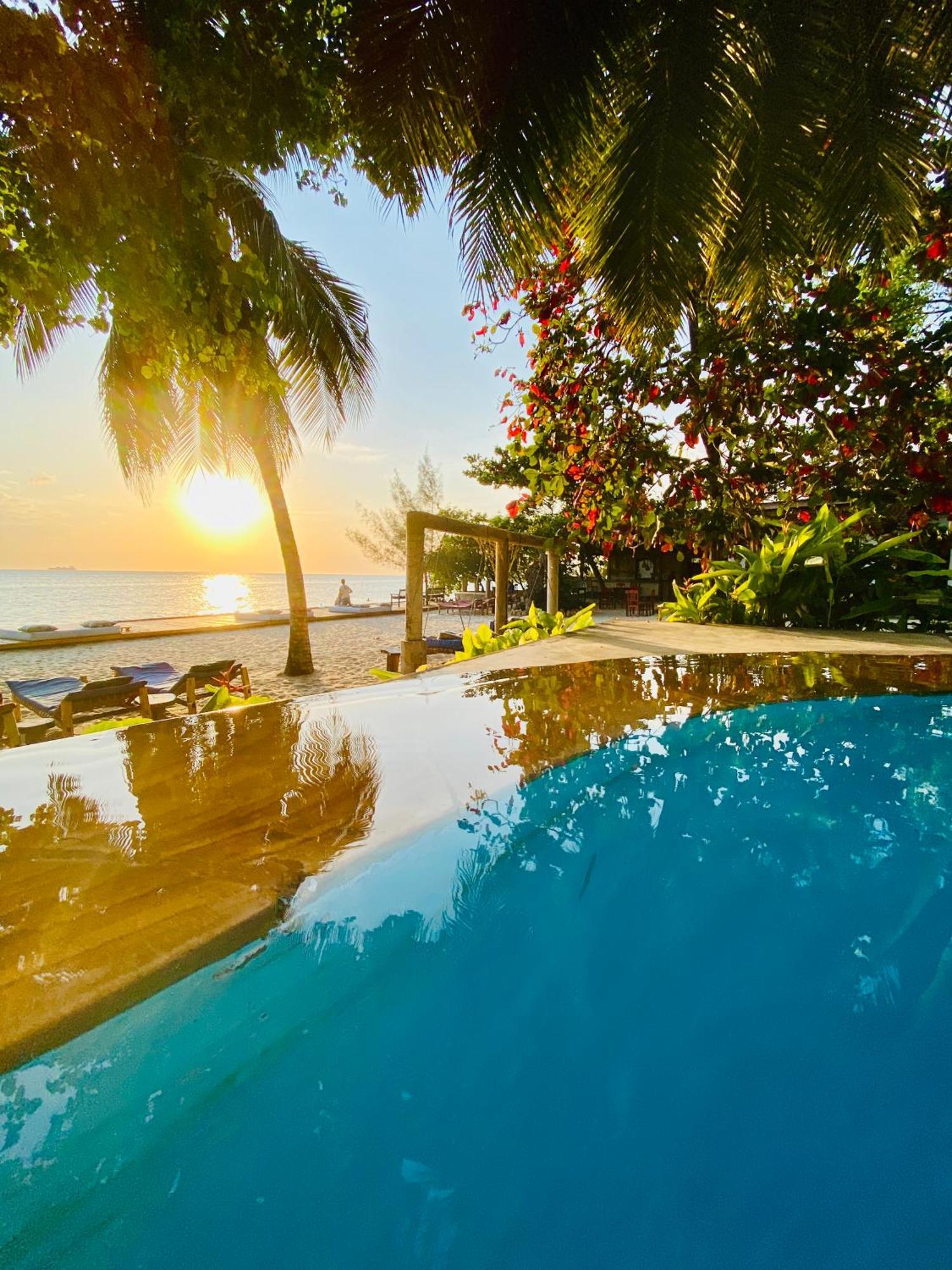 Mangrove Lodge Zanzibar Ngoại thất bức ảnh