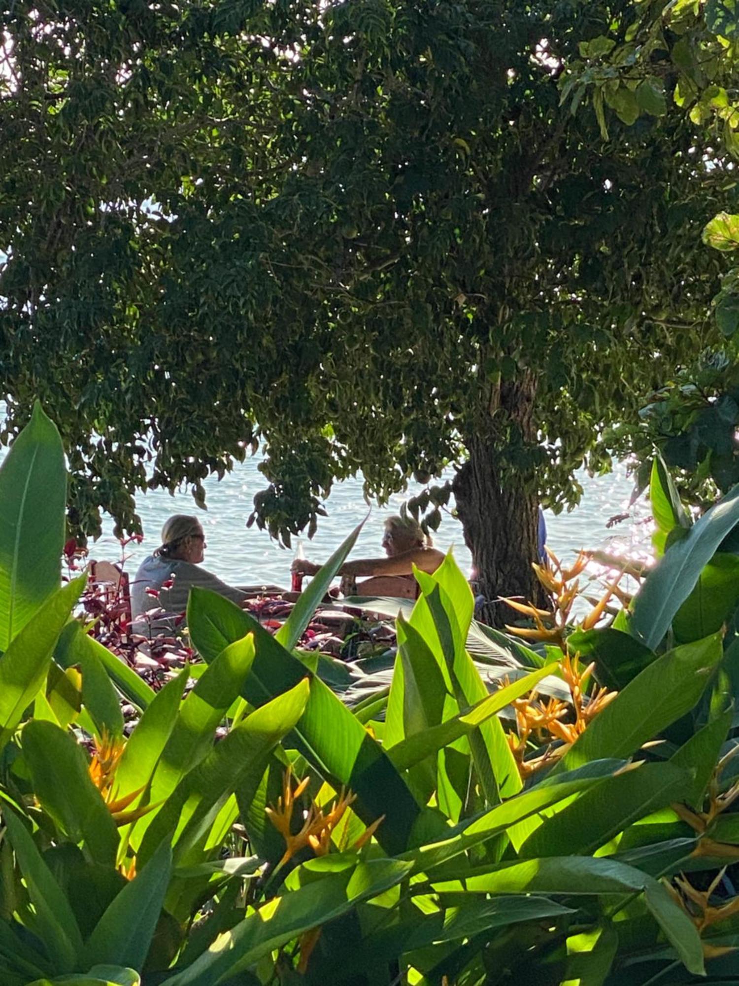 Mangrove Lodge Zanzibar Ngoại thất bức ảnh