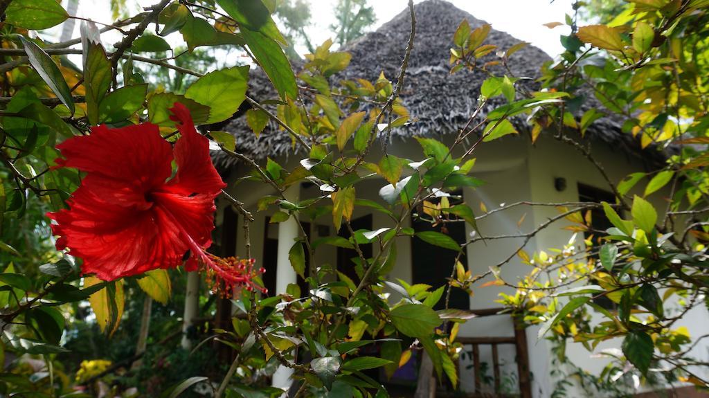 Mangrove Lodge Zanzibar Phòng bức ảnh