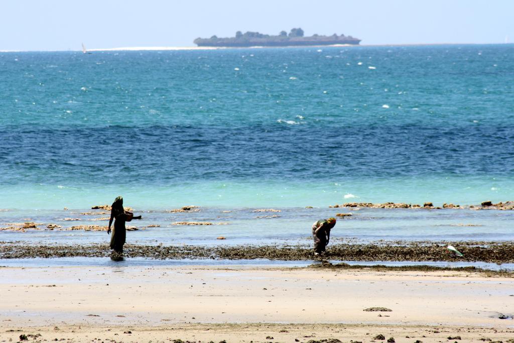 Mangrove Lodge Zanzibar Ngoại thất bức ảnh