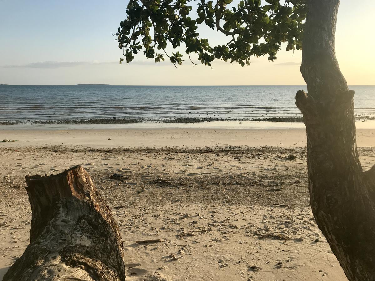 Mangrove Lodge Zanzibar Ngoại thất bức ảnh